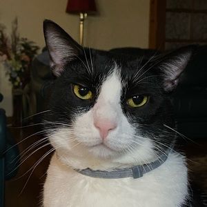 Meet your Posher, Micki